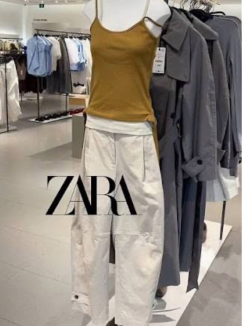 Zara trousers in Brand new Condition.